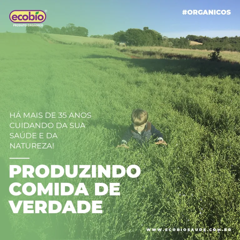 Produzindo comida de verdade